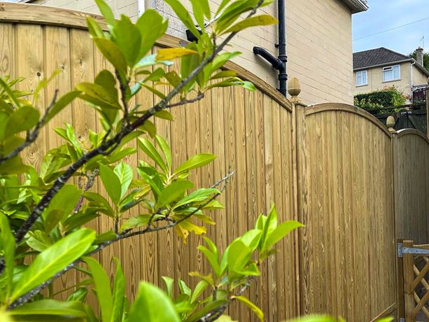 Curved-top-fence-panels