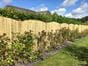 Convex curved featherboard fence panel