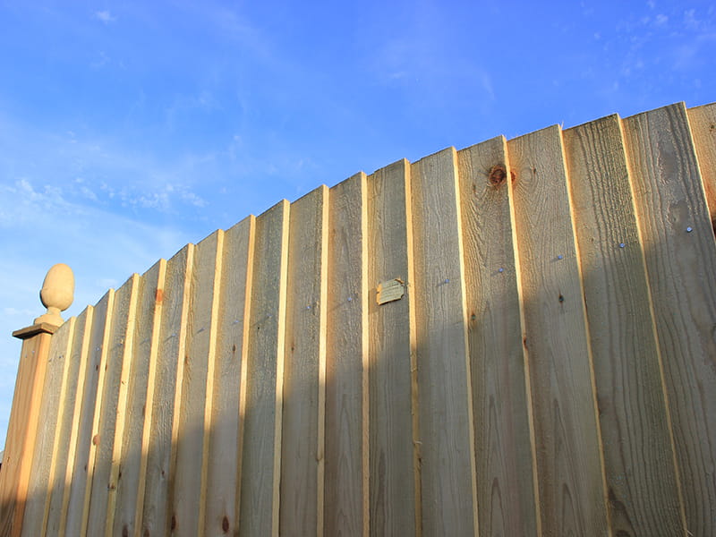 feather edge fence panels