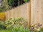 feather edge fence panels