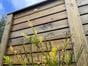 timber-cladding-fence-panels