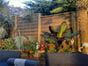 6ft urban fence panel