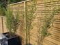 modern urban fencing