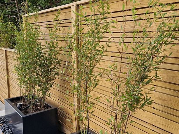 modern urban fencing