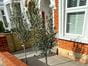 short venetian hit and miss fence panels