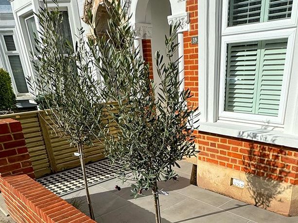 short venetian hit and miss fence panels