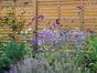 Venetian hit and miss fence panels