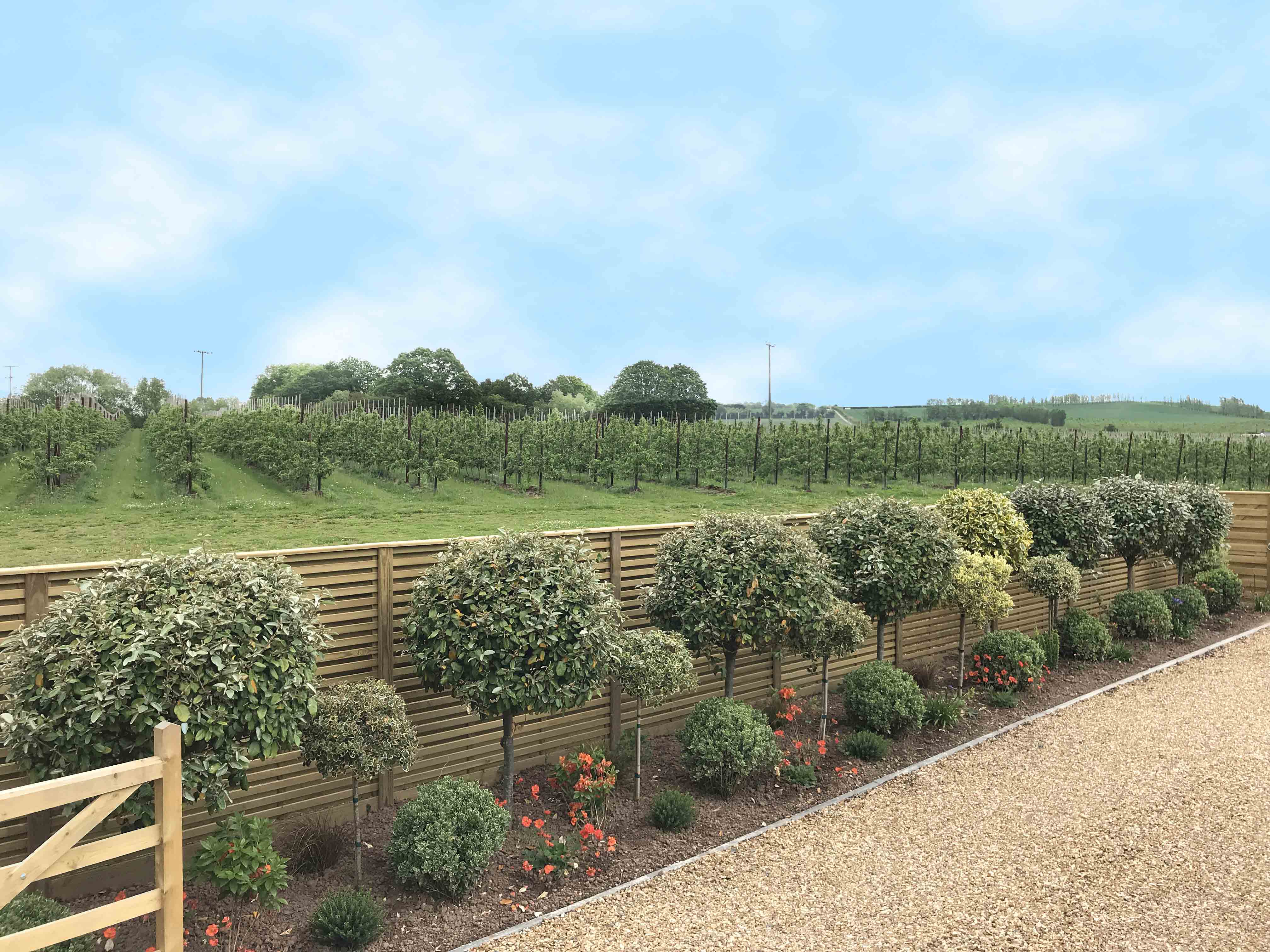 Hit And Miss Fence Panels Jacksons Fencing