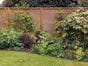 timber venetian slatted fencing