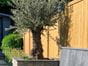 tongue-and-groove-effect-fence-panels-uk