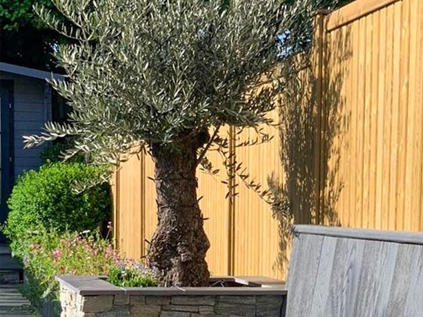 tongue-and-groove-effect-fence-panels-uk