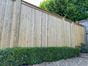 tongue-and-groove-premium-fence-panels