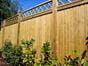 vertical tongue and groove with diamond trellis