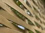 Detail of Woven Fence Panel