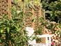woven garden fence panel