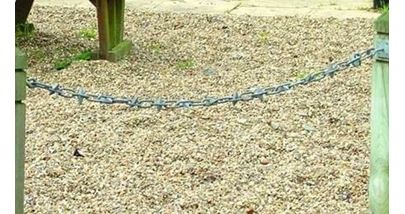 Ornamental Spiked Chain