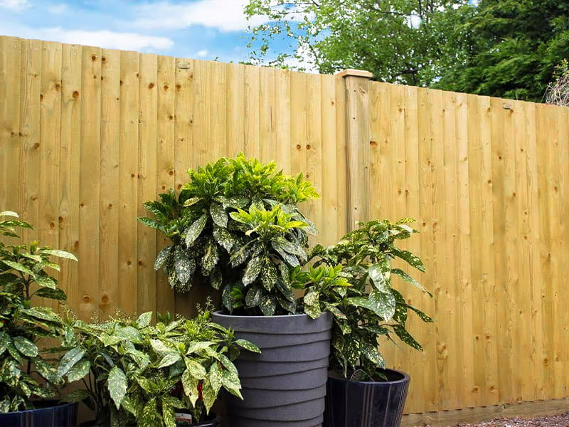 Featherboard Closeboard Fencing Panels