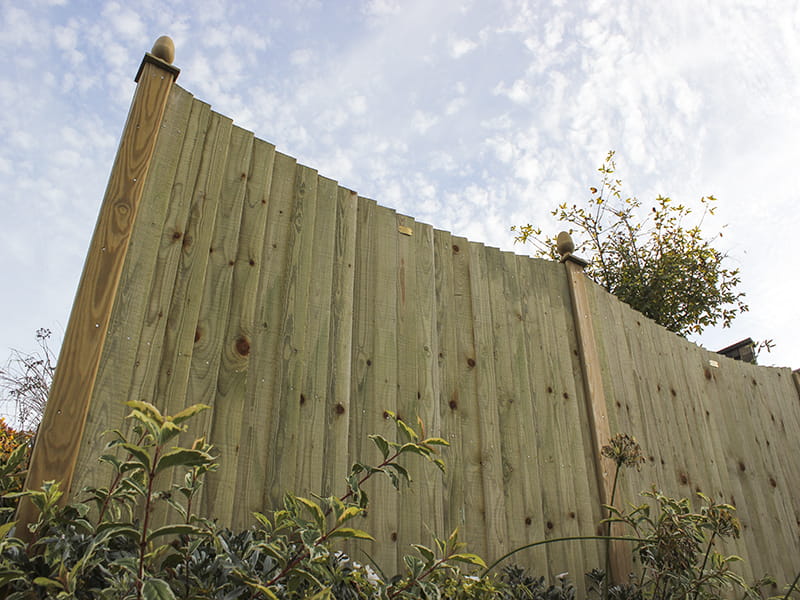 Choosing Featherboard Fencing (Feather Edge Fence) Jacksons Fencing