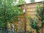 hit and miss Fencing Panels in urban nature garden