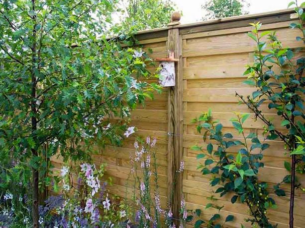 hit and miss Fencing Panels in urban nature garden