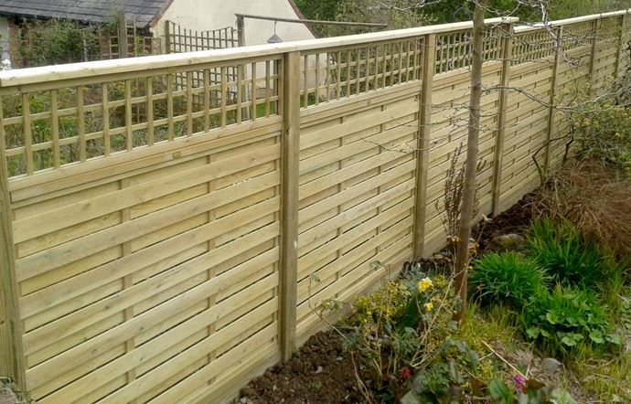 Trellis on top of premium Hit and miss fence