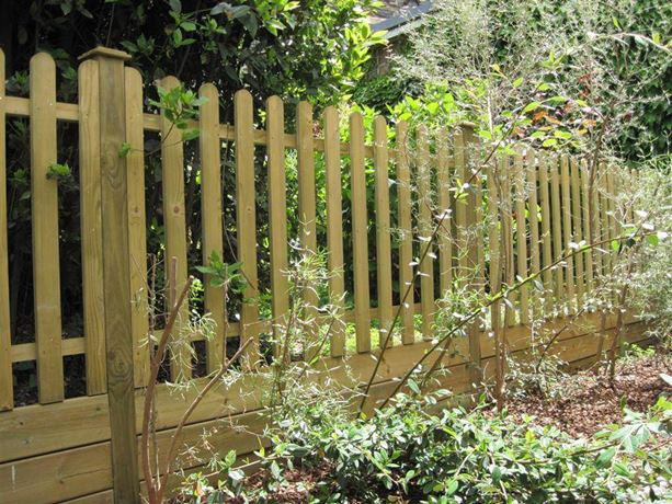 Rounded Palisade