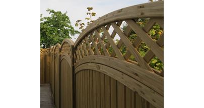 Curved Framed Trellis