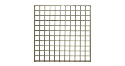 638500 - Trellis_standard