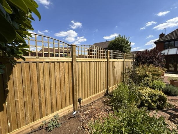 Fence panels with curved trellis