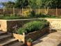 Square trellis panels in garden