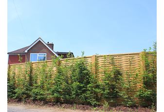 1.52m High (5FT) x 1.83m Wide Woven Panel Jakcured