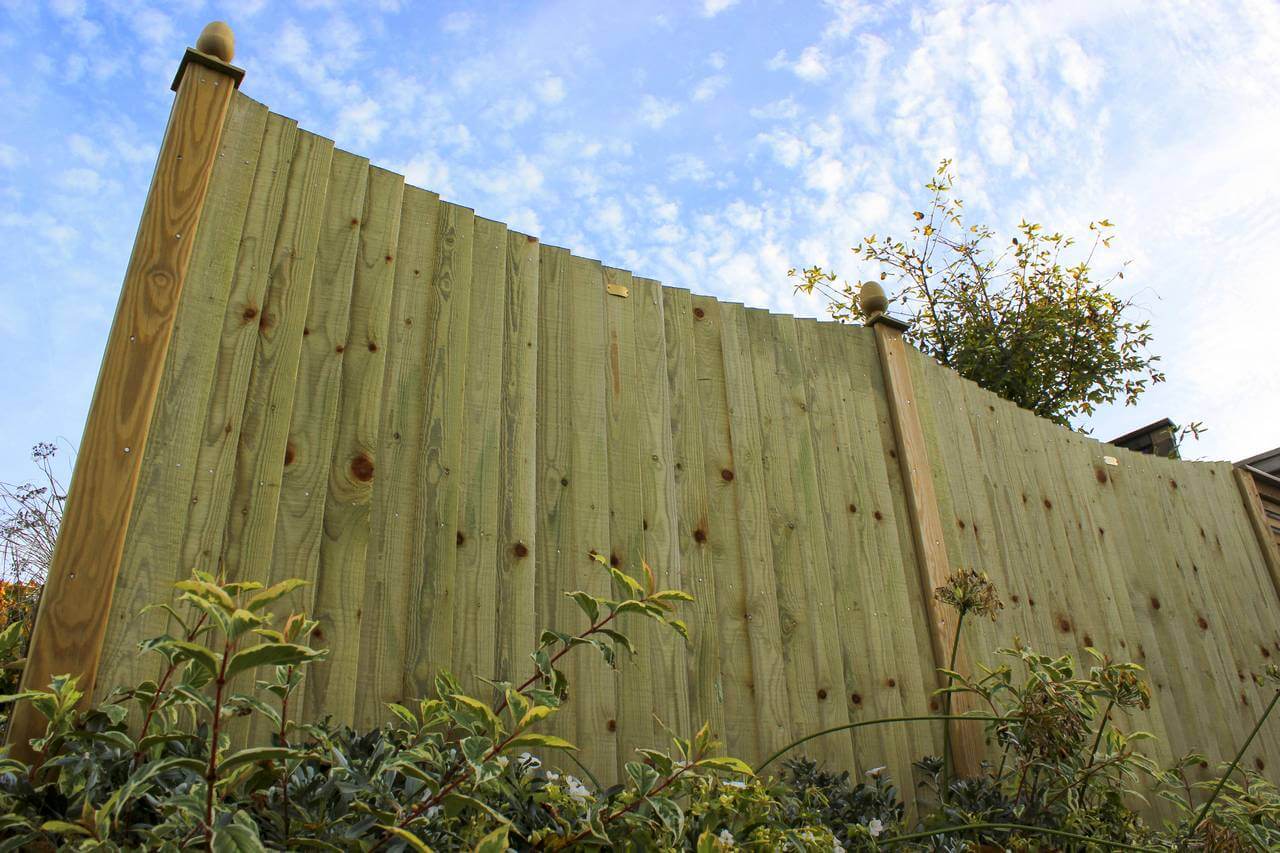 Featherboard Fencing Feather Edge Fencing Jacksons Fencing