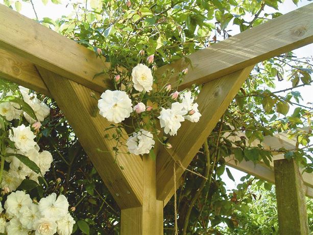 Pergola corner