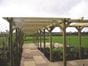pergola double