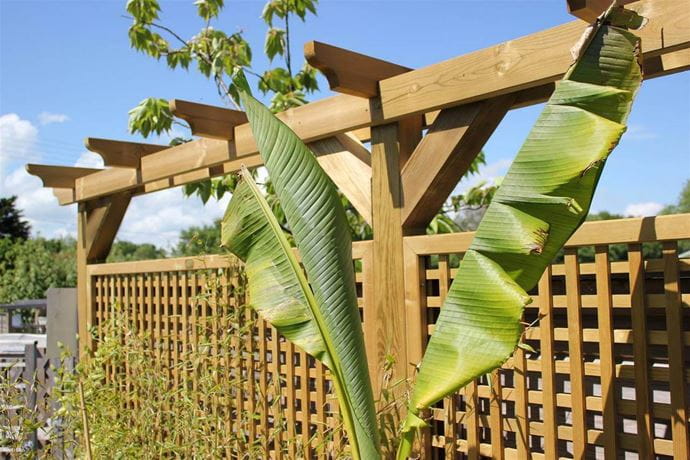 Single Wooden Garden Pergola