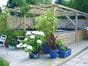 Wooden Pergola over fish pond