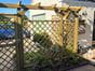 wooden single pergola