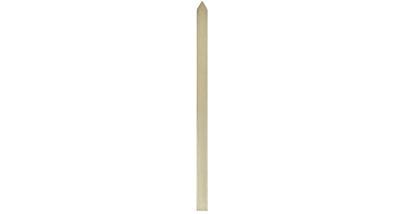 Pointed Pale