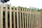 Traditional Pointed Picket Palisade Fencing