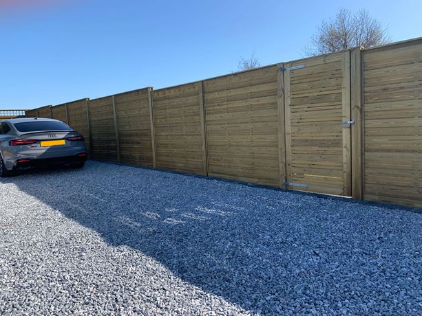 Urban garden gate in fence run