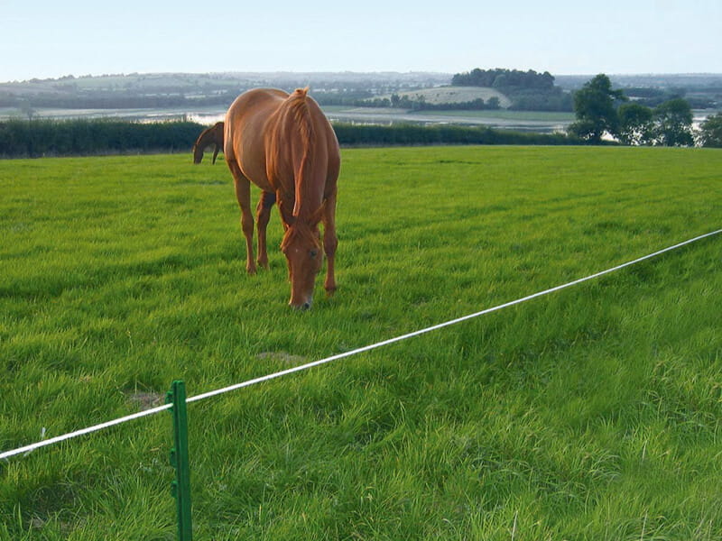 electric fencing for horses