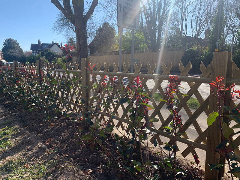 Jaktop Criss Cross Fence Panels Jacksons Fencing