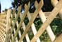 Jaktop fence