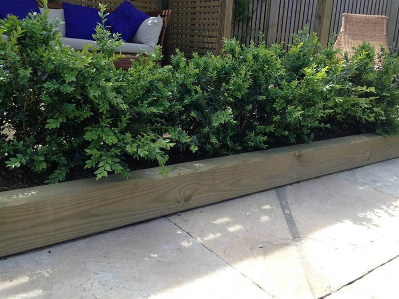 landscape timber