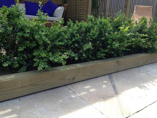 landscape timber
