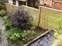 lattice trellis ideas