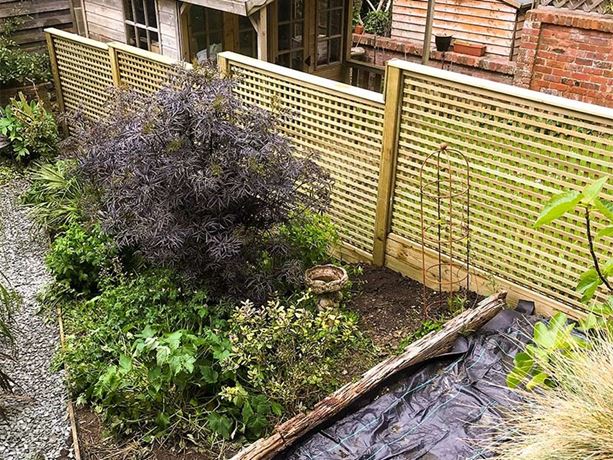 lattice trellis ideas