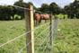 Plain Wire Fencing