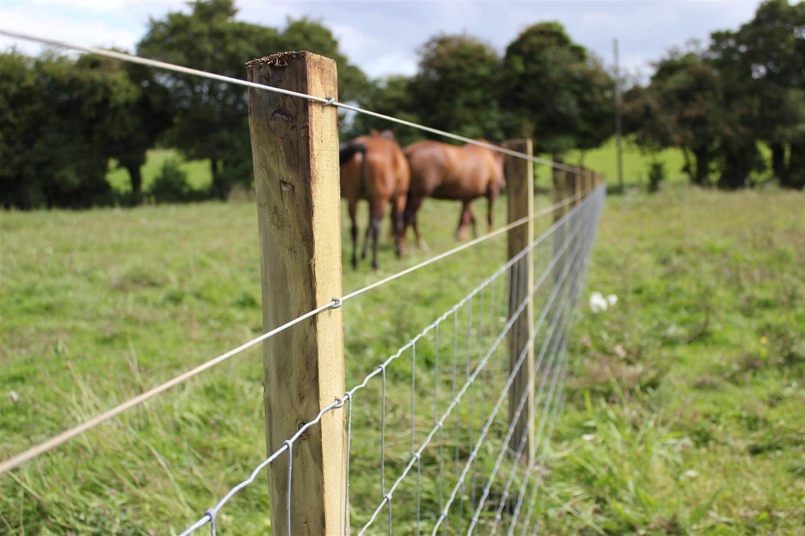 Plain Wire Fencing High Tensile Wire Jacksons Fencing