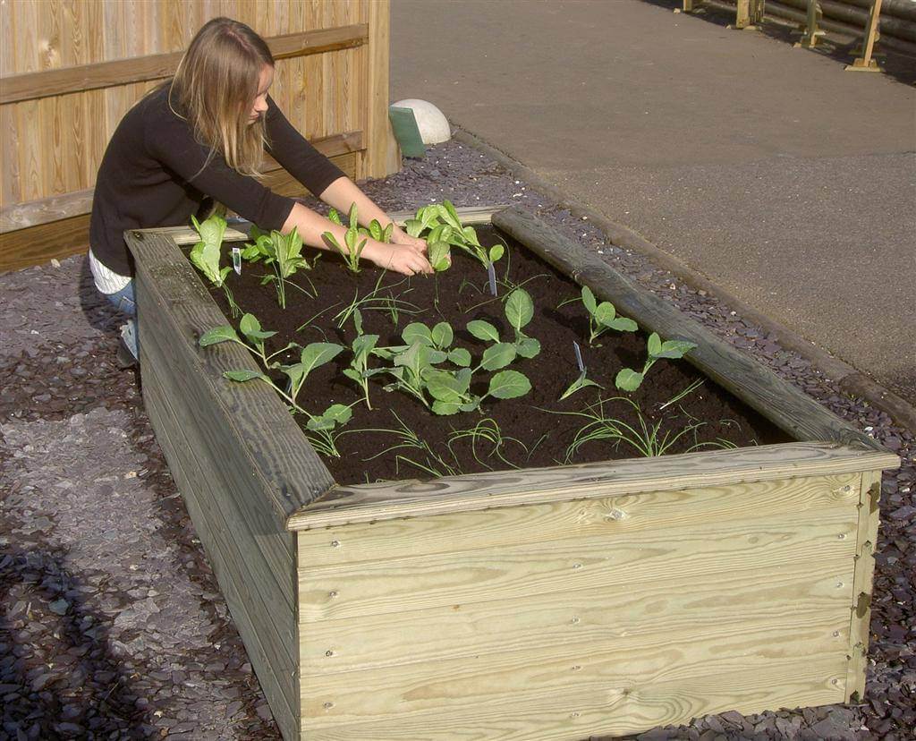 raised bed gardening